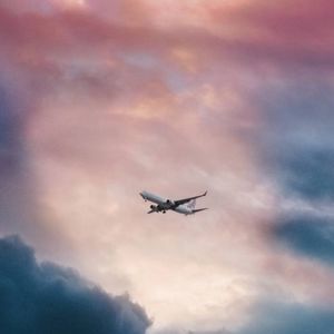 Meet your Posher, Mollie